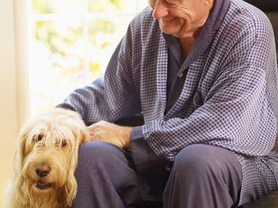 Perros para personas mayores. ¿Cuál es más indicado?
